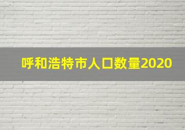 呼和浩特市人口数量2020