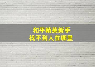 和平精英新手找不到人在哪里