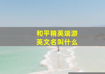 和平精英端游英文名叫什么