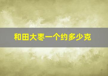 和田大枣一个约多少克