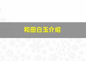 和田白玉介绍