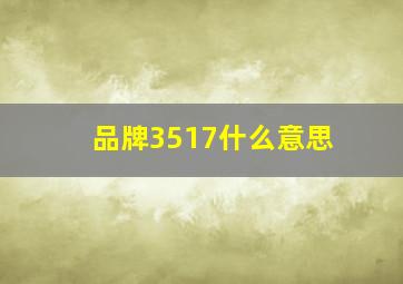 品牌3517什么意思