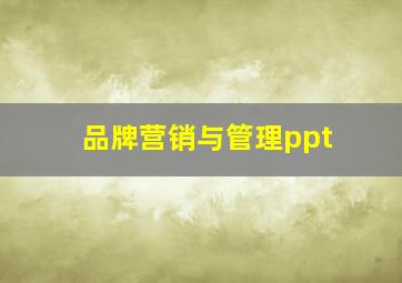 品牌营销与管理ppt