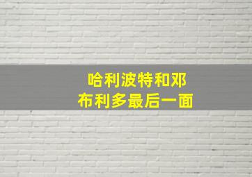 哈利波特和邓布利多最后一面