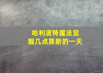 哈利波特魔法觉醒几点算新的一天