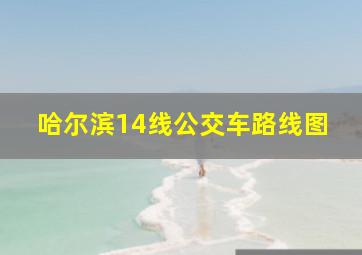 哈尔滨14线公交车路线图