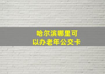 哈尔滨哪里可以办老年公交卡