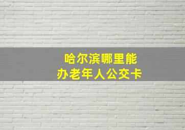 哈尔滨哪里能办老年人公交卡