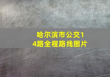 哈尔滨市公交14路全程路线图片