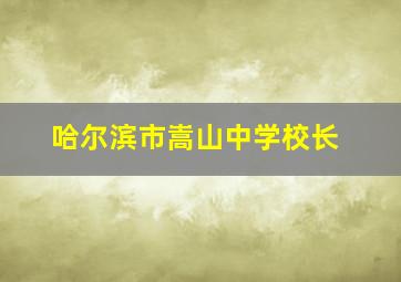 哈尔滨市嵩山中学校长