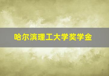 哈尔滨理工大学奖学金