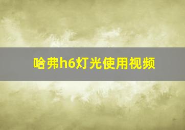 哈弗h6灯光使用视频