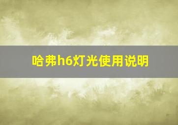 哈弗h6灯光使用说明