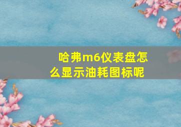 哈弗m6仪表盘怎么显示油耗图标呢