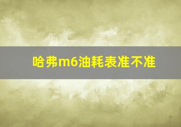 哈弗m6油耗表准不准