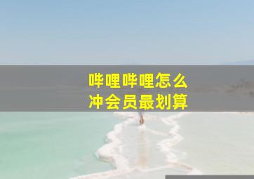 哔哩哔哩怎么冲会员最划算