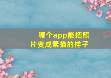 哪个app能把照片变成素描的样子