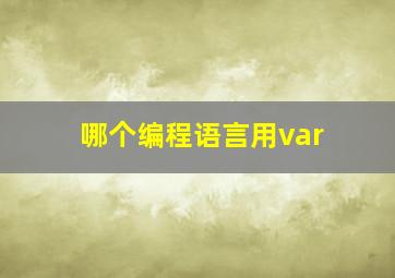 哪个编程语言用var