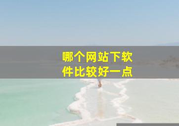 哪个网站下软件比较好一点