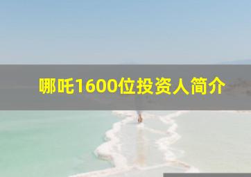 哪吒1600位投资人简介