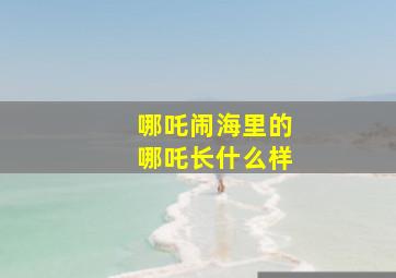 哪吒闹海里的哪吒长什么样