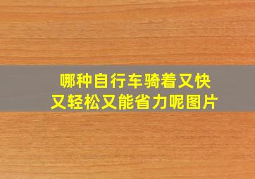 哪种自行车骑着又快又轻松又能省力呢图片