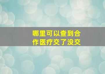 哪里可以查到合作医疗交了没交