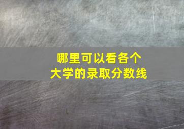 哪里可以看各个大学的录取分数线