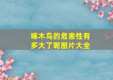 啄木鸟的危害性有多大了呢图片大全