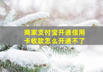 商家支付宝开通信用卡收款怎么开通不了