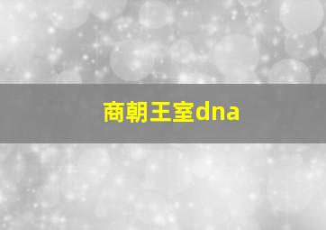 商朝王室dna