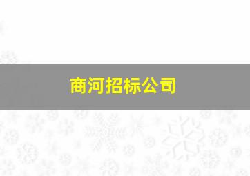 商河招标公司