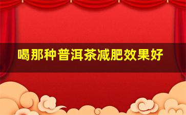 喝那种普洱茶减肥效果好