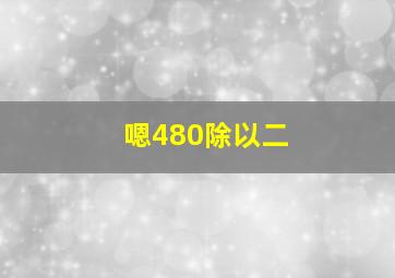 嗯480除以二