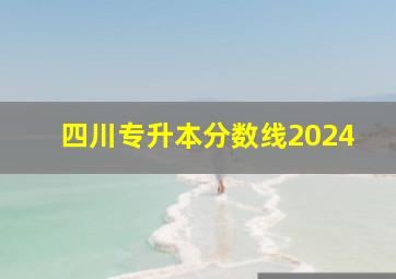 四川专升本分数线2024