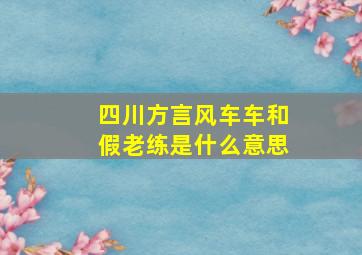 四川方言风车车和假老练是什么意思