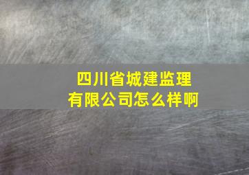 四川省城建监理有限公司怎么样啊