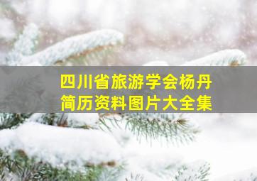 四川省旅游学会杨丹简历资料图片大全集