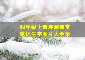 四年级上册观潮课堂笔记生字图片大全集