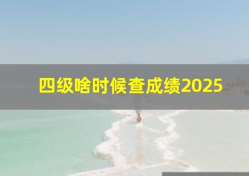 四级啥时候查成绩2025