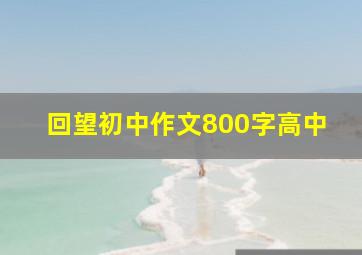 回望初中作文800字高中