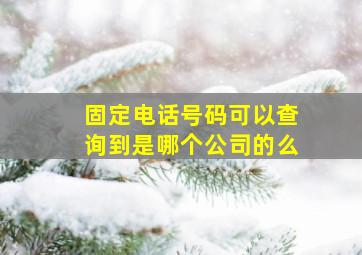 固定电话号码可以查询到是哪个公司的么