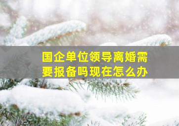 国企单位领导离婚需要报备吗现在怎么办