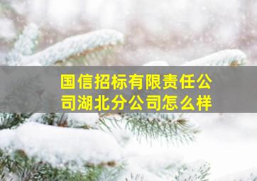 国信招标有限责任公司湖北分公司怎么样