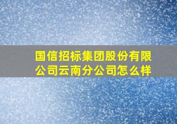 国信招标集团股份有限公司云南分公司怎么样