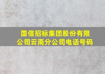 国信招标集团股份有限公司云南分公司电话号码