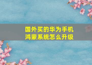 国外买的华为手机鸿蒙系统怎么升级