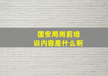 国安局岗前培训内容是什么啊