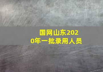 国网山东2020年一批录用人员