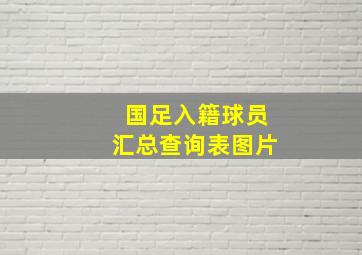 国足入籍球员汇总查询表图片